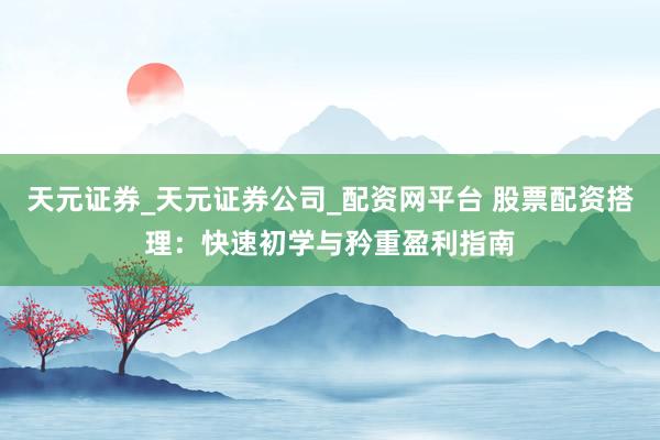 天元证券_天元证券公司_配资网平台 股票配资搭理：快速初学与矜重盈利指南